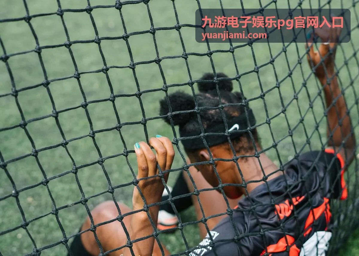 九游电子娱乐pg官网入口 进度查询环节