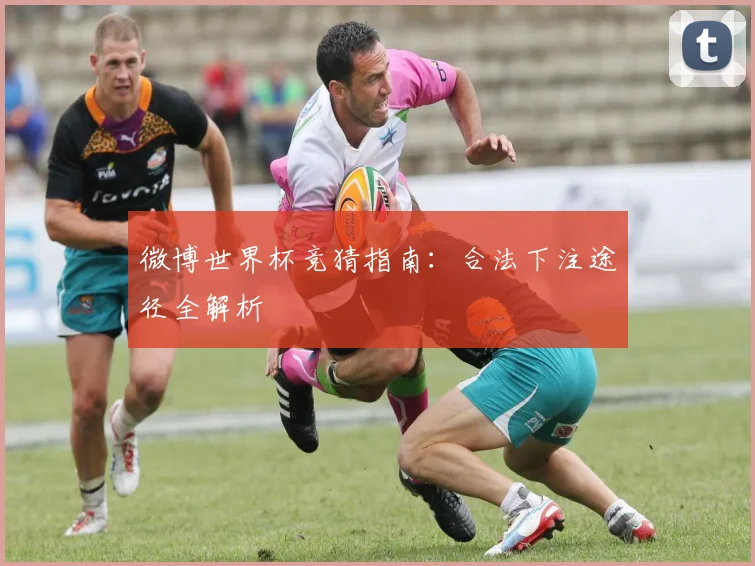 微博世界杯竞猜指南：合法下注途径全解析