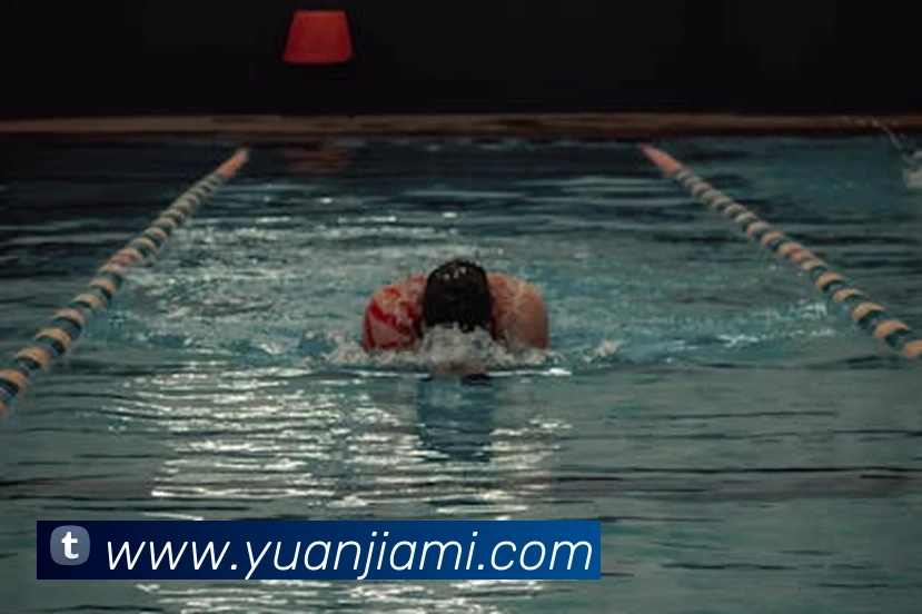 多媒体互动体验